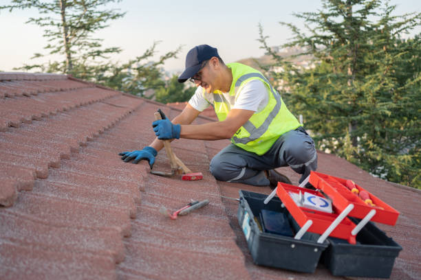 Best Roof Repair Specialists  in Woodville, AL