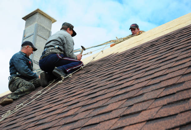 Best Roof Maintenance Services  in Woodville, AL